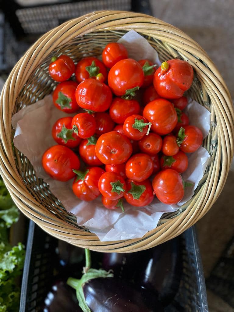 Les Halles de la Meyfrenie